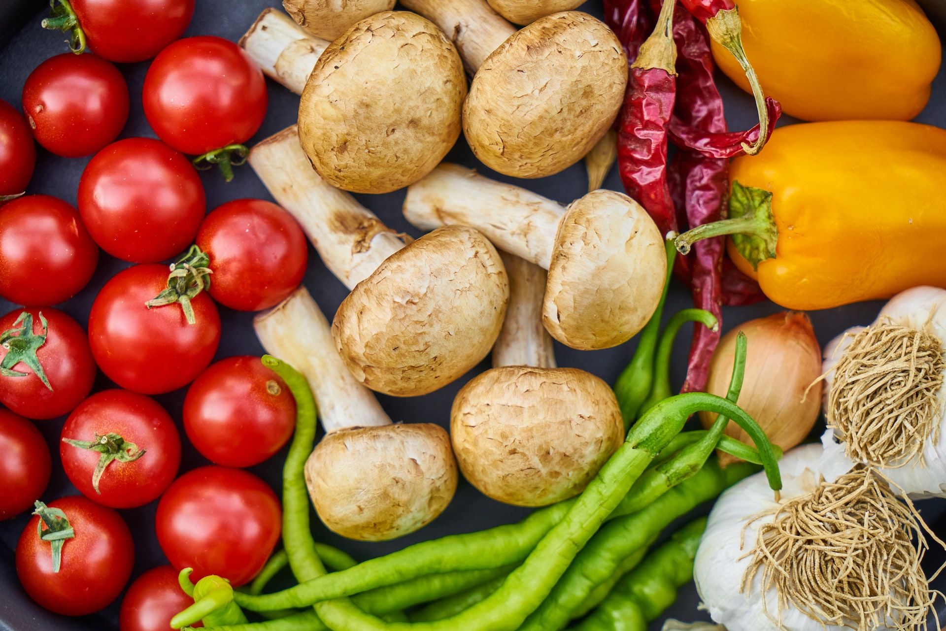 Human nutrition